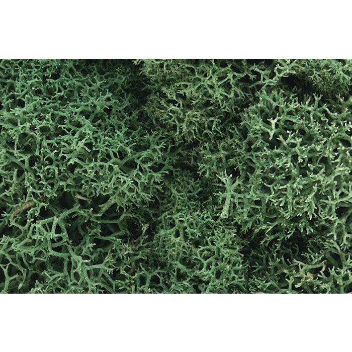 62 Lichen Bag, Light Green/82 cu. in.