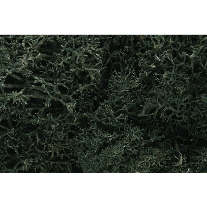 L164 Woodland Scenics Lichen Bag Dark Green 86.6 in/3