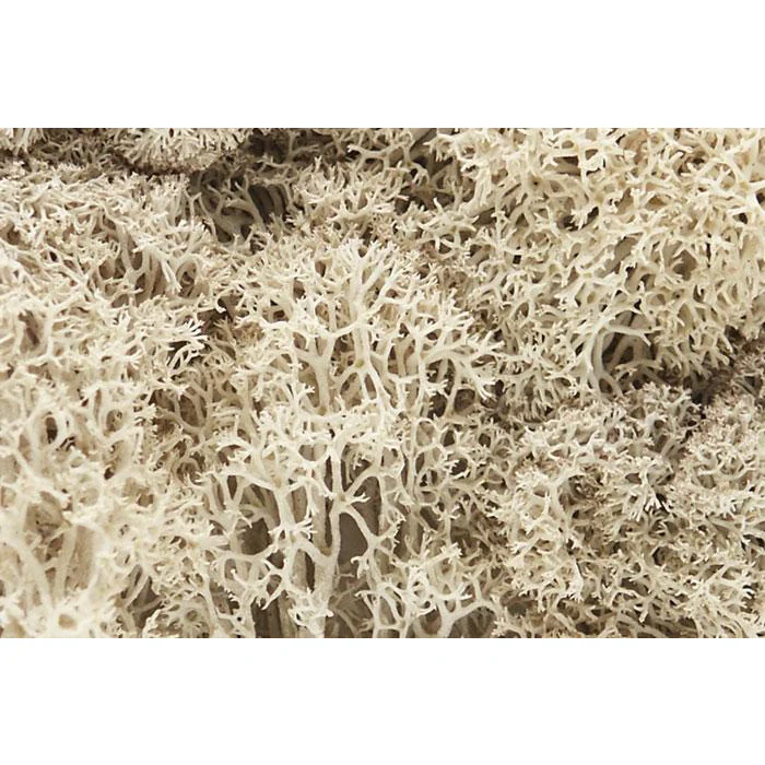 L166 Woodland Scenics Lichen Bag Natural 86.6 in/3