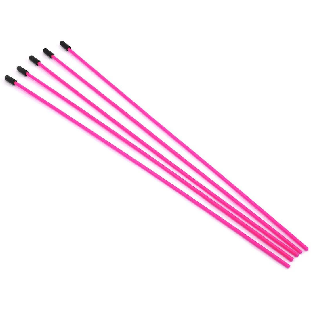 ProTek RC Antenna Tube w/Caps (Flo Pink) (5)