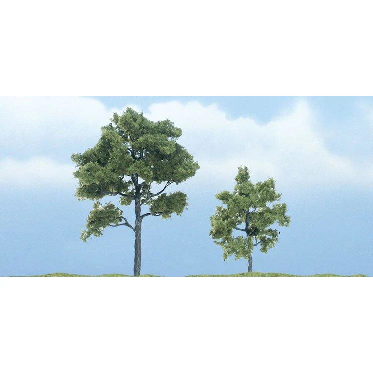 TR1607 Premium Locust Tree, 3"/2" (2)