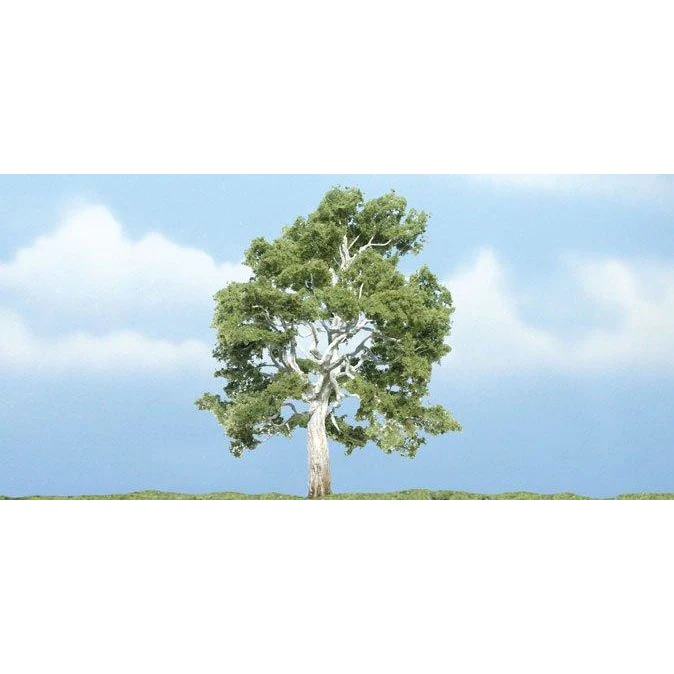 TR1609 Premium Sycamore Tree, 4"