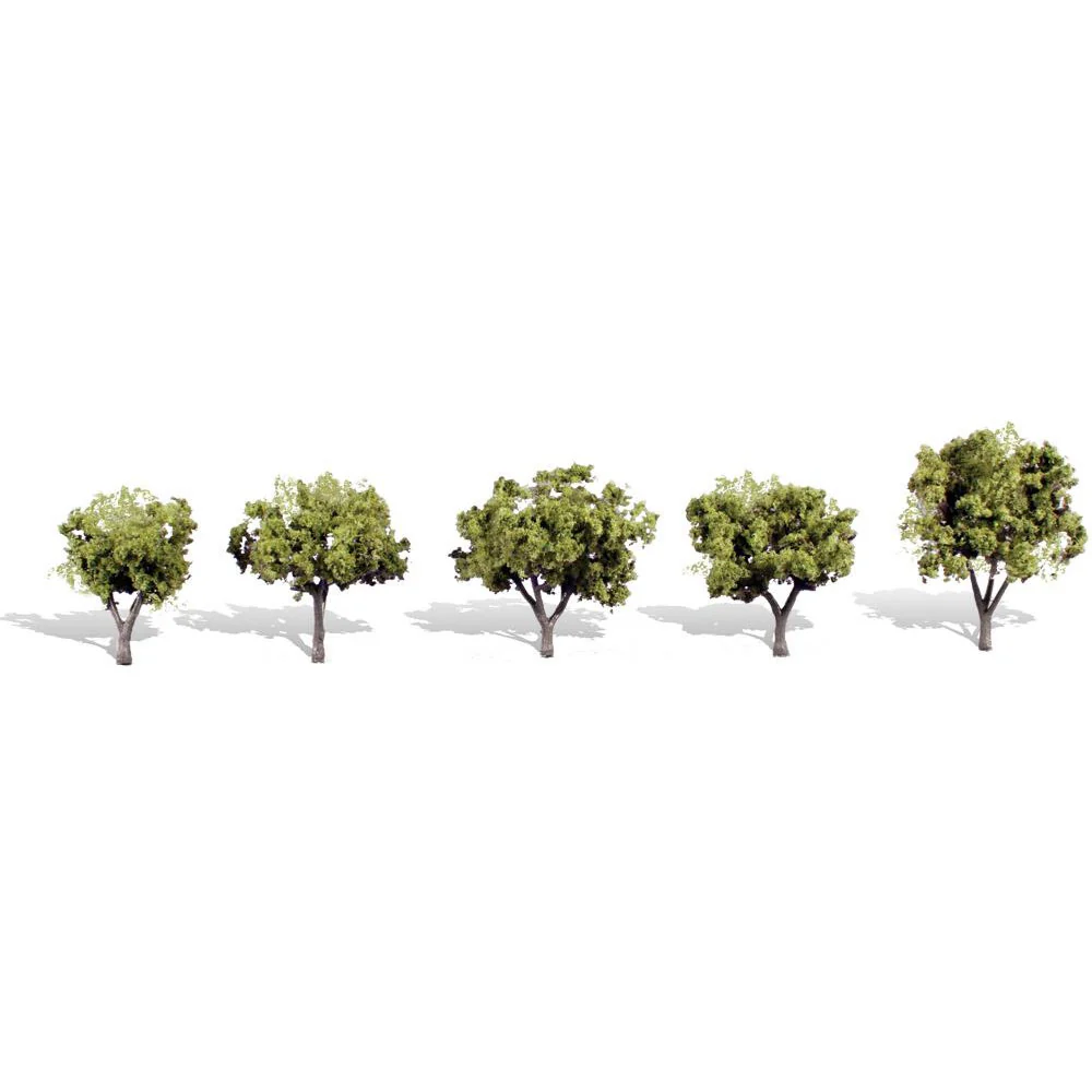 TR3546 Classics Tree, Early Light 1.25-2" (5)