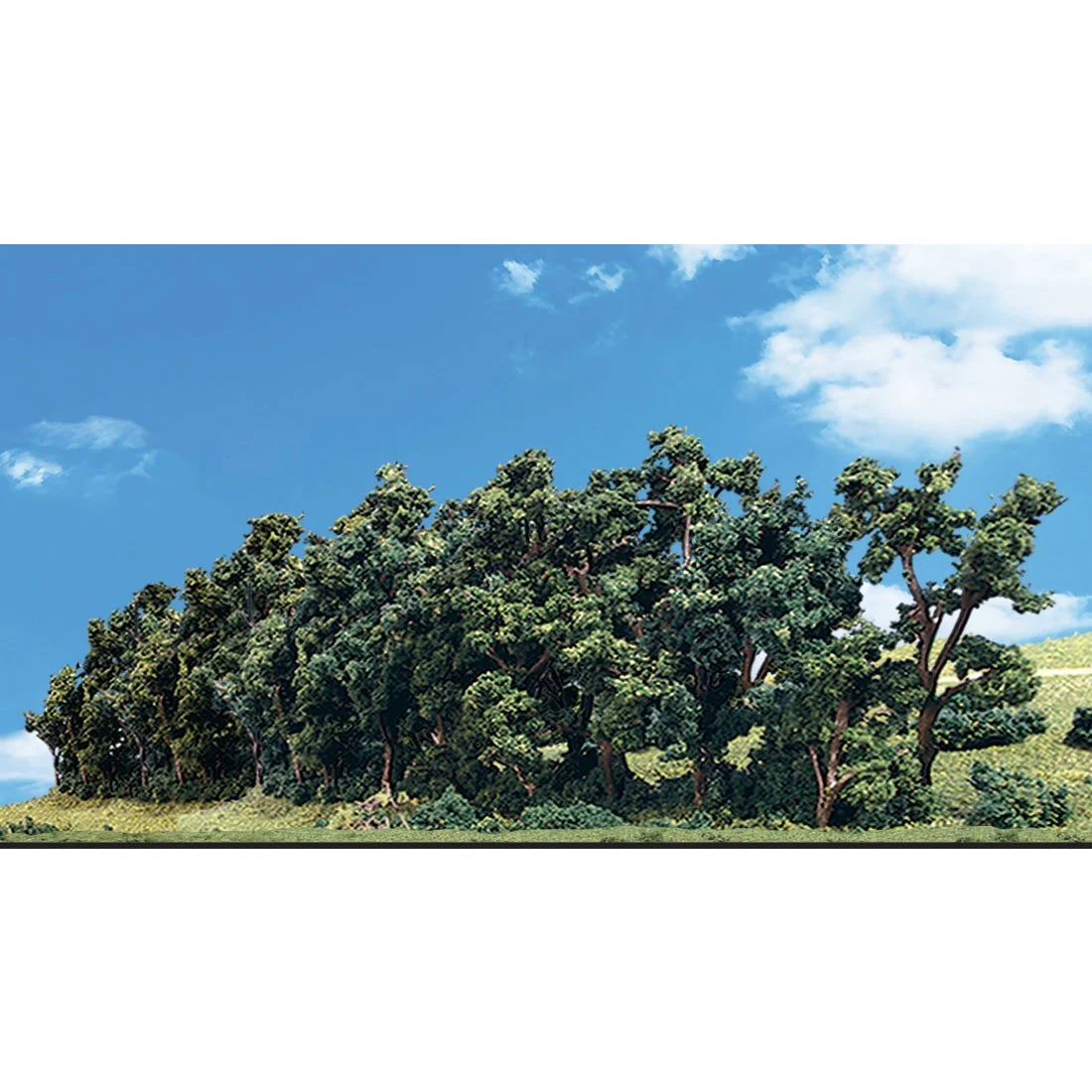 TR3581 Classics Tree, Hedge Row 1-2" (1)